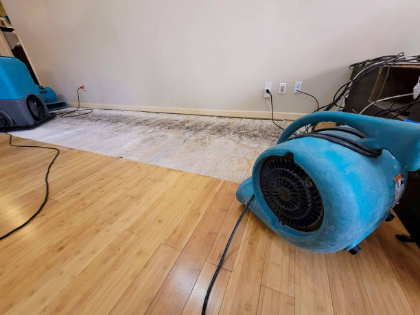Reliable Basement Flood Cleanup contractor in Troy, OH by Hirex Water Damage