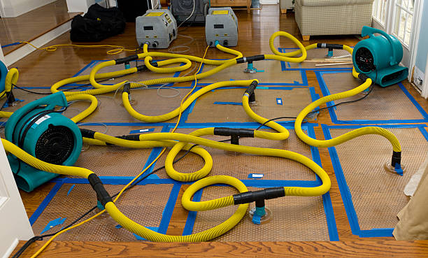 Professional Basement Flood Cleanup technician working in Troy, OH